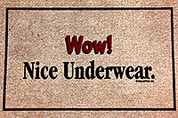 /images/133/1999-08-nice-underwear.jpg - #00350: doormat at Christina`s in Phoenix … August 1999 -- Phoenix, Arizona