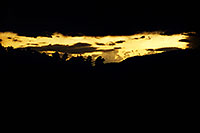 /images/133/2000-06-white-mtns-night.jpg - #00498: night in White Mountains … June 2000 -- White Mountains, Arizona