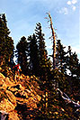 /images/133/2000-07-humphreys-woods-v.jpg - #00504: hiking from Snowbowl to Humphreys Peak … July 2000 -- Humphreys Peak, Snowbowl, Arizona