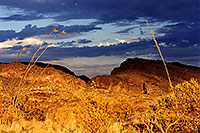 /images/133/2000-07-supersti-golden-lig.jpg - #00509: late afternoon at Superstition Mountains … July 2000 -- Superstitions, Arizona