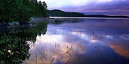 /images/133/2000-09-tema-island-morning2-w.jpg - #00682: morning at Lake Temagami … Sept 2000 -- Lake Temagami, Temagami, Ontario.Canada