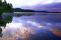 /images/133/2000-09-tema-island-morning2.jpg - #00692: morning at Lake Temagami … Sept 2000 -- Lake Temagami, Temagami, Ontario.Canada
