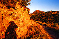 /images/133/2001-09-supersti-reavis-sha.jpg - #00901: Reavis Ranch Trail … Sept 2001 -- Superstitions, Arizona