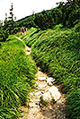 /images/133/2002-07-krivan-v.jpg - #00972: along the trail from Krivan … July 2002 -- Krivan, Vysoke Tatry, Slovakia