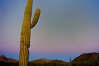 /images/133/2003-03-grande-cg60-9.jpg - #01145: near Casa Grande, Arizona … March 2003 -- Casa Grande, Arizona