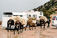 /images/133/2003-03-reavis-4-horses.jpg - #01150: wet Reavis Ranch Trail in Superstition Mountains … March 2003 -- Superstitions, Arizona