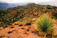 /images/133/2003-03-reavis-trail1.jpg - #01158: wet Reavis Ranch Trail in Superstition Mountains … March 2003 -- Superstitions, Arizona