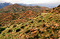 /images/133/2003-03-reavis-trail4.jpg - #01161: wet Reavis Ranch Trail in Superstition Mountains … March 2003 -- Superstitions, Arizona