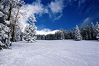 /images/133/2003-03-snowbowl-blue-white.jpg - #01170: Snowbowl ski area … March 2003 -- Snowbowl, Arizona