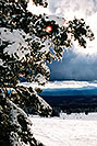 /images/133/2003-03-snowbowl-down1-vert.jpg - #01189: Snowbowl ski area … March 2003 -- Snowbowl, Arizona