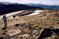/images/133/2004-06-mtevans-holly04.jpg - #01551: hiking at 12,000 ft on Mt Evans … June 2004 -- Mount Evans Road, Mt Evans, Colorado