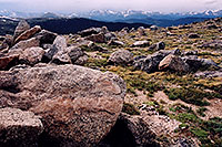 /images/133/2004-06-mtevans-rocks-view1.jpg - #01572: rocky meadows of Mt Evans … June 2004 -- Mt Evans, Colorado