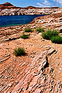 /images/133/2004-07-powell2-waheep2-v.jpg - #01742: images of Wahweap and Lake Powell … July 2004 -- Wahweap, Lake Powell, Utah