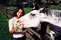 /images/133/2004-09-greenwood-ola-horse.jpg - #02108: Ola feeding a white horse … August 2004 -- Greenwood Village, Colorado