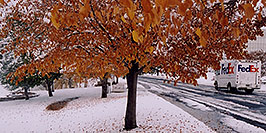 /images/133/2004-11-centennial-snow2-pano.jpg - #02357: Fedex on delivery … when fall turns to winter in Denver suburbs … Nov 2004 -- Centennial, Colorado