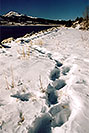 /images/133/2005-01-twin-lakes-lake3-2-v.jpg - #02411: Mt Elbert Forebay, elevation 9,645 ft … Jan 2005 -- Mt Elbert Forebay, Twin Lakes, Colorado
