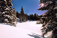 /images/133/2005-03-wolfcreek-trees1.jpg - #02567: Morning sun peeking while walking knee-deep snow … March 2005 -- Wolf Creek Pass, Colorado