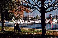 /images/133/2005-10-toronto-lake2.jpg - #02656: along Lake Ontario … Oct 2005 -- Toronto, Ontario.Canada