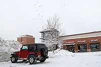 /images/133/2006-12-29-engle-rei-view05.jpg - #03296: red Jeep Wrangler in front of REI #61with 23 birds flying in the sky … December 2006 -- Englewood, Colorado