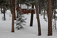 /images/133/2007-01-27-sed-woods.jpg - #03388: images of Sedalia … Jan 2007 -- Sedalia, Colorado