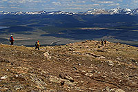 /images/133/2007-06-10-elbert-skier5.jpg - #03901: Skier and hiker with dogs  walking up the North Trail of Mt Elbert, Colorado