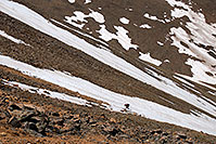 /images/133/2007-06-10-elbert-skier8.jpg - #03904: Skier walking across a snowfield on Mt Elbert  … June 2007 -- Mt Elbert, Colorado