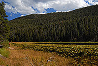 /images/133/2007-09-22-rm-cub-lake-3687.jpg - #04665: View of Cub Lake … Sept 2007 -- Cub Lake, Rocky Mountain National Park, Colorado