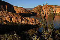 /images/133/2008-03-21-sup-can-5269.jpg - #04938: Ocotillo on the right above Canyon Lake in Superstitions … March 2008 -- Canyon Lake, Superstitions, Arizona