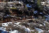 /images/133/2008-03-30-gc-ba-mul-6226.jpg - #04965: Mule riding group and snow spots along Bright Angel Trail in Grand Canyon … March 2008 -- Bright Angel Trail, Grand Canyon, Arizona