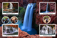 /images/133/2008-04-16-hav-profile.jpg - #05161: Our trip to Havasu / Mooney / Navajo / Beaver Falls … April 2008 -- Havasu Falls!, Havasu Falls, Arizona