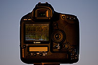 /images/133/2008-07-27-rip-1d3-18269.jpg - #05627: Canon EOS 1D Mark III camera … July 2008 -- Riparian Preserve, Gilbert, Arizona
