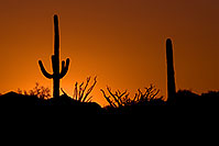 /images/133/2008-08-22-supers-sunset-22237.jpg - #05785: Sunset in Superstitions … August 2008 -- Apache Trail Road #2, Superstitions, Arizona