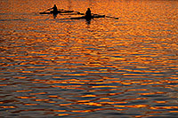 /images/133/2008-11-18-tempe-sculling-49802.jpg - #06117: Scullers at Tempe Town Lake … November 2008 -- Tempe Town Lake, Tempe, Arizona