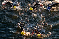 /images/133/2008-11-23-ironman-swim_9-52636c.jpg - #06221: 0:42:24 - KIERAN DOE #30 leading #5 and ANDREAS RAELERT #9 (middle) - Swim Pros … November 2008 -- Tempe Town Lake, Tempe, Arizona