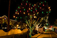 /images/133/2008-12-05-tempe-mill-road-60309.jpg - #06358: Christmas lights along Mill Road in Tempe - view South … December 2008 -- Mill Road, Tempe, Arizona