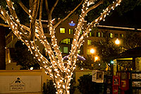 /images/133/2008-12-05-tempe-mill-road-60314.jpg - #06355: Christmas lights by Mission Palms along Mill Road in Tempe … December 2008 -- Mill Road, Tempe, Arizona