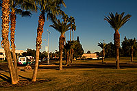 /images/133/2008-12-09-tempe-kiwanis-60882.jpg - #06382: Metro bus and traffic at Kiwanis Park … December 2008 -- Kiwanis Park, Tempe, Arizona