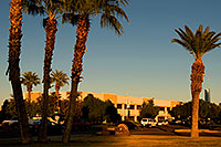 /images/133/2008-12-09-tempe-kiwanis-palms-61017.jpg - #06395: White Xterra and traffic at Kiwanis Park … December 2008 -- Kiwanis Park, Tempe, Arizona