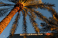/images/133/2009-01-06-mesa-fountains-72932.jpg - #06818: Fountains by Bank of America … January 2009 -- Southern Ave (Mesa), Mesa, Arizona