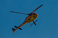 /images/133/2009-02-08-riparian-heli-90891.jpg - #07164: Gilbert Hospital Helicopter over Riparian Preserve … February 2009 -- Riparian Preserve, Gilbert, Arizona