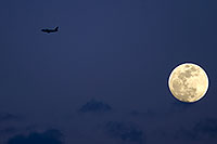 /images/133/2009-02-08-riparian-moon-91440.jpg - #07170: Moon over Riparian Preserve … February 2009 -- Riparian Preserve, Gilbert, Arizona