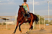 /images/133/2009-06-30-queen-horses-104961.jpg - #07409: Horseback riding in Queen Creek … June 2009 -- Queen Creek, Arizona
