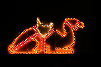 /images/133/2009-12-31-chandler-lights-131272.jpg - #08023: Christmas decorations in Chandler … December 2009 -- Chandler, Arizona