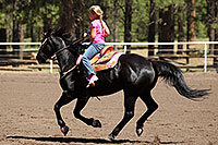 /images/133/2010-06-05-naha-horses-poles-1787.jpg - #08098: NAHA Pole Bending event in Flagstaff … June 2010 -- Fort Tuthill County Park, Flagstaff, Arizona