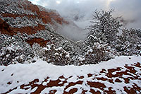 /images/133/2011-03-22-sedona-snowy-61591.jpg - #09103: Morning in Sedona … March 2011 -- Schnebly Hill, Sedona, Arizona