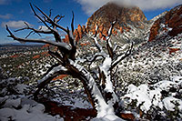 /images/133/2011-04-10-sedona-coffeepot-66329.jpg - 09143: Morning snow view of Thunder Mountain (Capital Butte) in Sedona … April 2011 -- Thunder Mountain, Sedona, Arizona