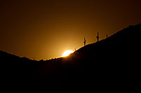 /images/133/2011-05-12-supers-2cactus-68253.jpg - #09168: Sunset in Superstitions … May 2011 -- Superstitions, Arizona
