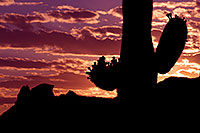 /images/133/2011-05-20-supers-sunset-71175.jpg - #09204: Sunset in Superstitions … May 2011 -- Superstitions, Arizona
