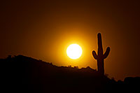 /images/133/2011-05-22-supers-sunset.jpg - #09216: Sunset in Superstitions … May 2011 -- Superstitions, Arizona