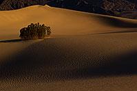 /images/133/2011-05-27-dv-mesquite-dunes-72217.jpg - #09244: Sand Patterns at Mesquite Sand Dunes in Death Valley … May 2011 -- Mesquite Sand Dunes, Death Valley, California